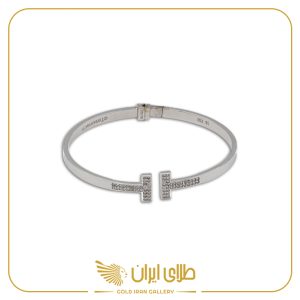 بنگل تی آیسان 1