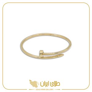 بنگل میخ آیسان 2