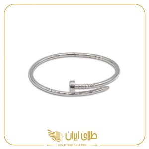 بنگل میخ آیسان 2