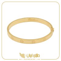 بنگل پیچ گوشتی خور کارتیه