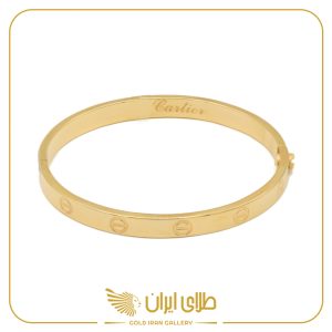 بنگل پیچ گوشتی خور کارتیه