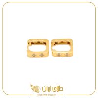 گوشواره روبرتو کوین